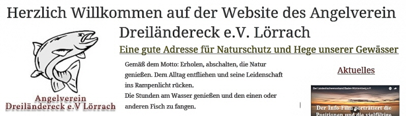 Website Lörrach